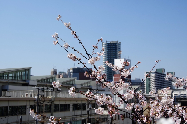 大崎駅周辺の住環境