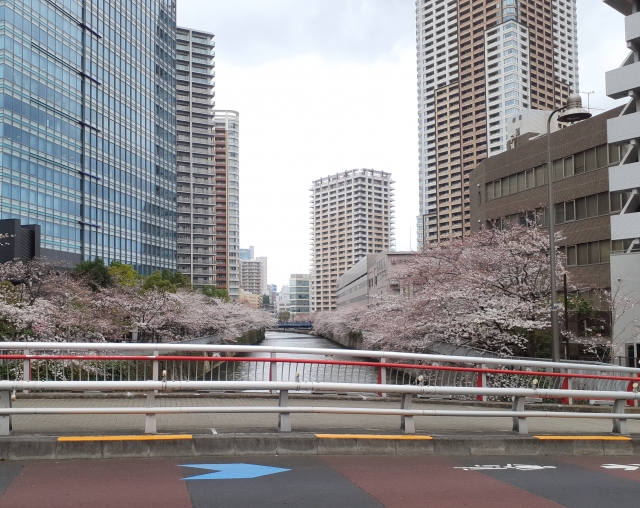 大崎駅の住環境