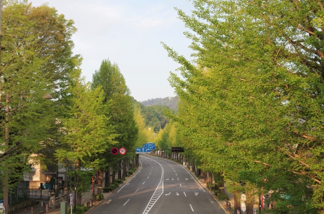 八王子駅周辺の住みやすさは？