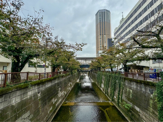 中目黒駅周辺の中古物件取引価格について