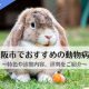 大阪市で評判が良いおすすめの動物病院7選｜特色や診察内容、実際に利用した人の口コミをご紹介！
