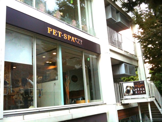 PET-SPA高輪店
