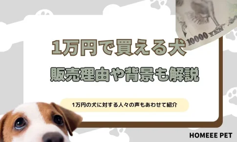 1万円で買える犬